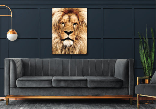 Peinture De Lions 