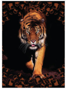 Peinture de tigre